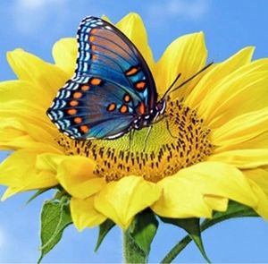 Meet your Posher, Annie